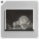 1-64_George-Stubbs_canvas