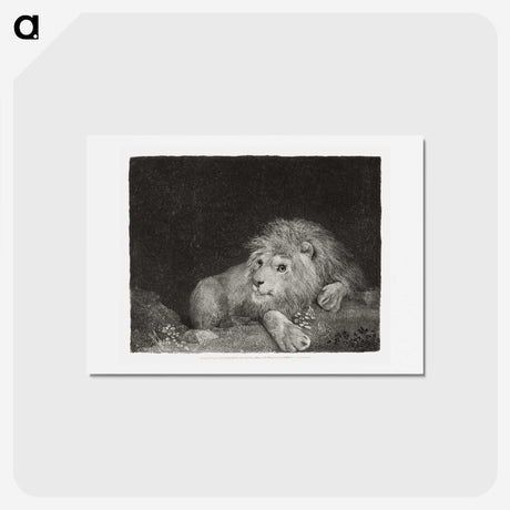 1-64_George-Stubbs_hagaki
