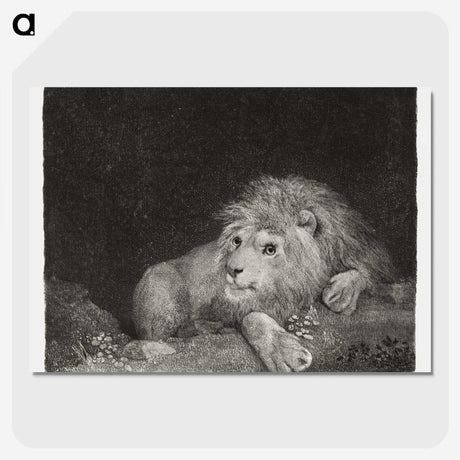 1-64_George-Stubbs_picture-crop