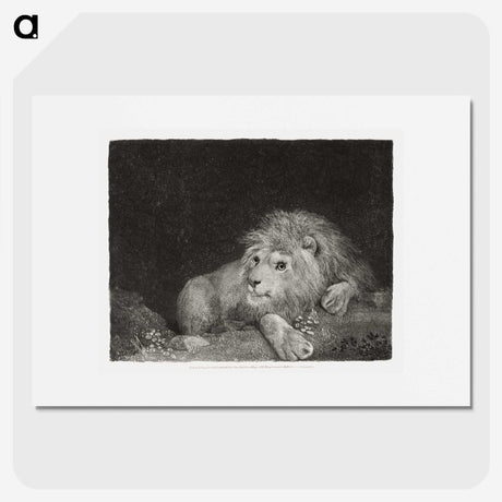 1-64_George-Stubbs_picture