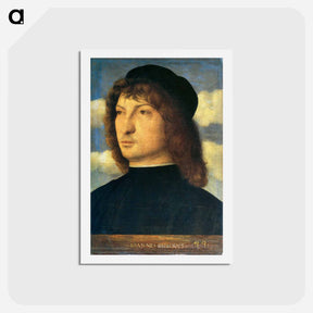 アートポストカード-Portrait of a venetian gentleman - ジョヴァンニ ベッリーニ Postcard.