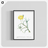 1-64_Histoire-des-Plantes-Grasses_blk-crop