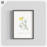 1-64_Histoire-des-Plantes-Grasses_blk