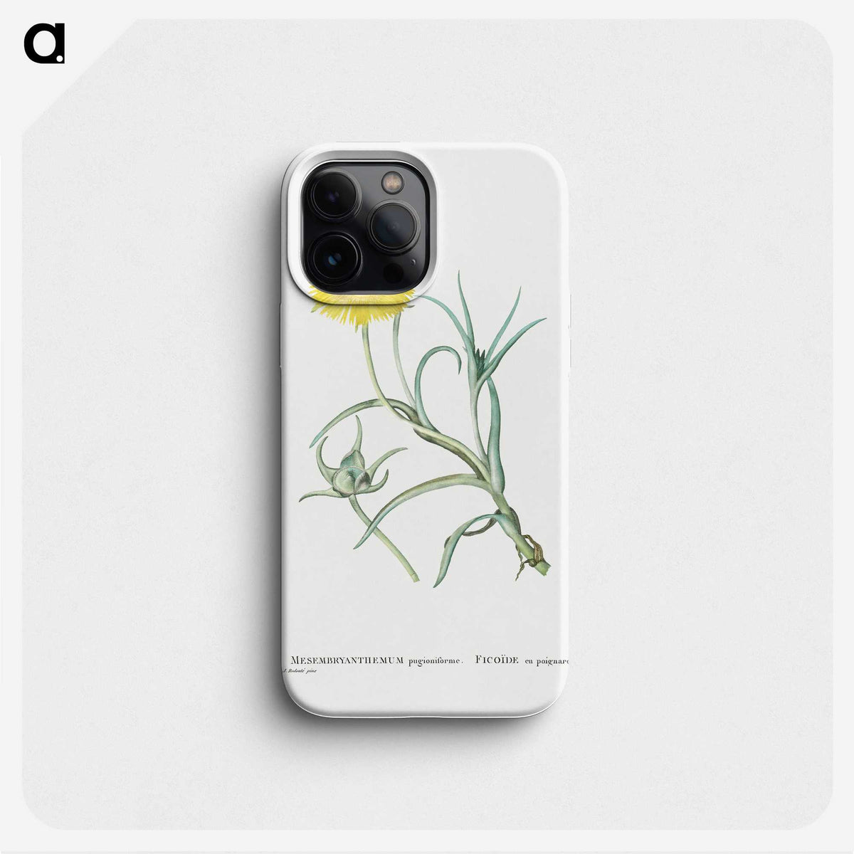 1-64_Histoire-des-Plantes-Grasses_phone
