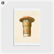 1-64_History-of-Egyptian-Art_postcard