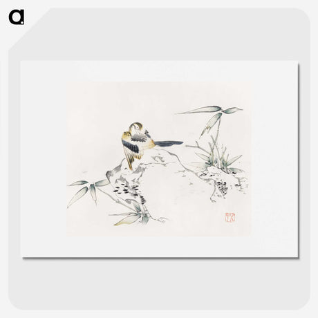 1-64_Hu-Zhengyan_picture