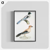 1-64_Indian-Zoology_blk-crop