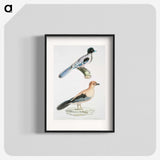 1-64_Indian-Zoology_blk