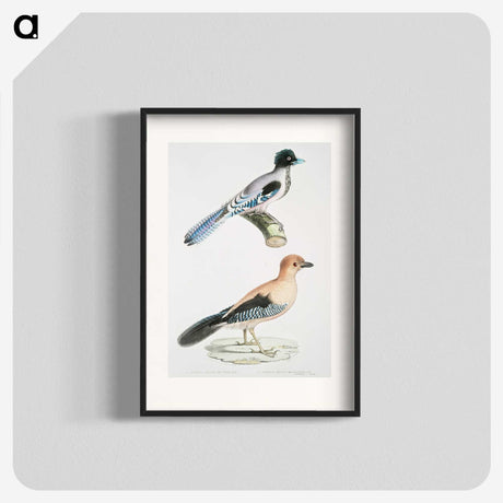 1-64_Indian-Zoology_blk