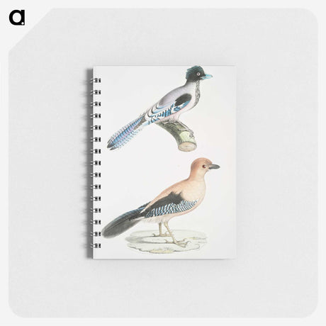 1-64_Indian-Zoology_memo