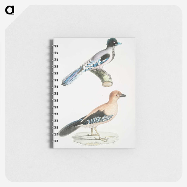 1-64_Indian-Zoology_memo