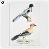 1-64_Indian-Zoology_picture-crop