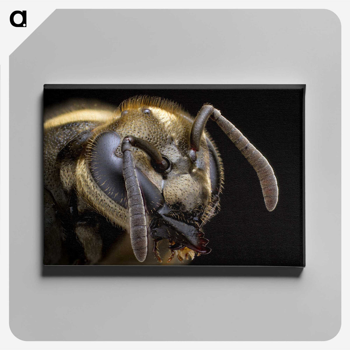 1-64_Insects-Unlocked-Project_canvas