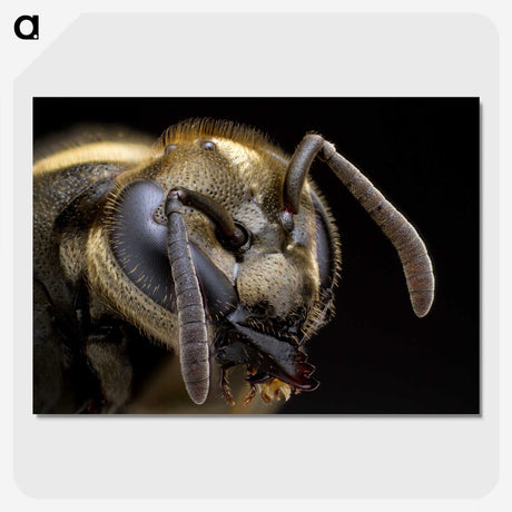 1-64_Insects-Unlocked-Project_picture-crop