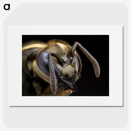 1-64_Insects-Unlocked-Project_picture