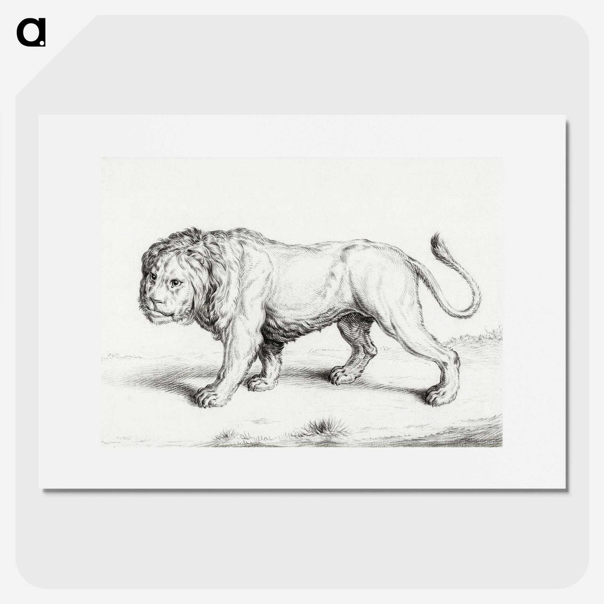1-64_Jean-Bernard_picture