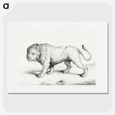 1-64_Jean-Bernard_picture