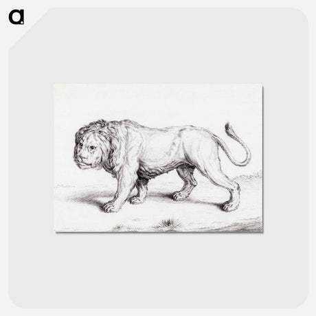 アートポストカード-Lion - ジャン ベルナール Postcard.
