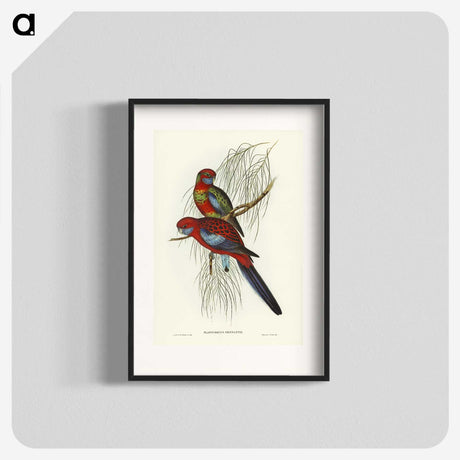 1-64_John-Gould_blk