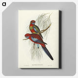 1-64_John-Gould_canvas
