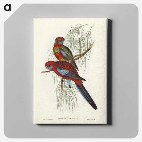 1-64_John-Gould_canvas
