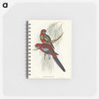 1-64_John-Gould_memo