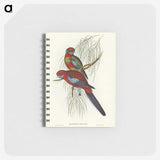 1-64_John-Gould_memo