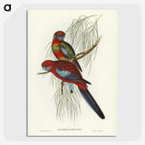 1-64_John-Gould_picture-crop