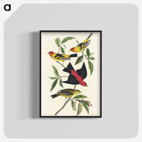 1-64_John-James-Audubon_blk-crop