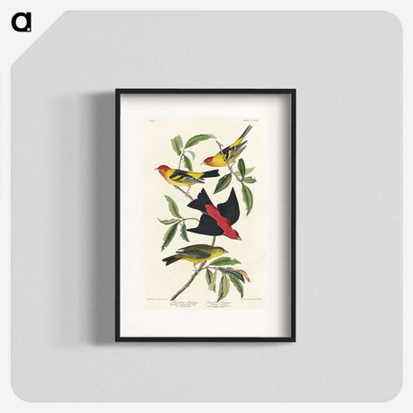 1-64_John-James-Audubon_blk