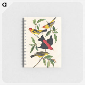 アートメモ帳-Tanager Birds of America
 - ジョン ジェームス オーデュボン Memo.