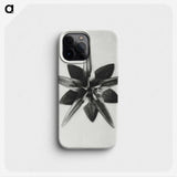 1-64_Karl-Blossfeldt_phone
