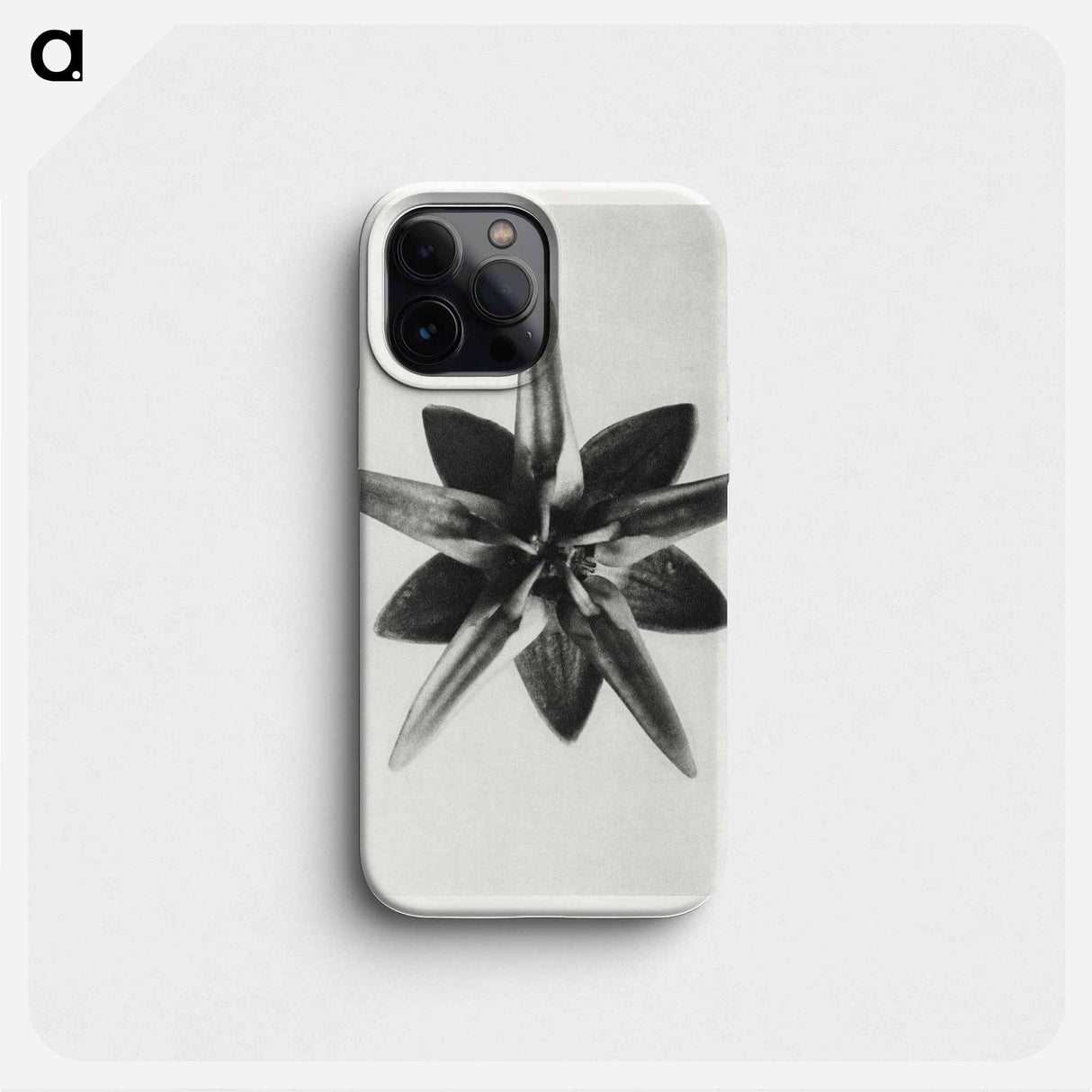 Asclepias Speciosa - カール ブロスフェルト Phone Case.
