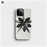 Asclepias Speciosa - カール ブロスフェルト Phone Case.