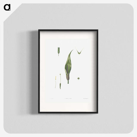 1-64_La-Botanique_blk