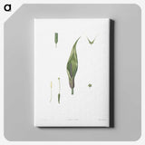 1-64_La-Botanique_canvas