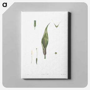 1-64_La-Botanique_canvas