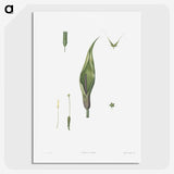 1-64_La-Botanique_picture-crop
