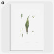 1-64_La-Botanique_picture