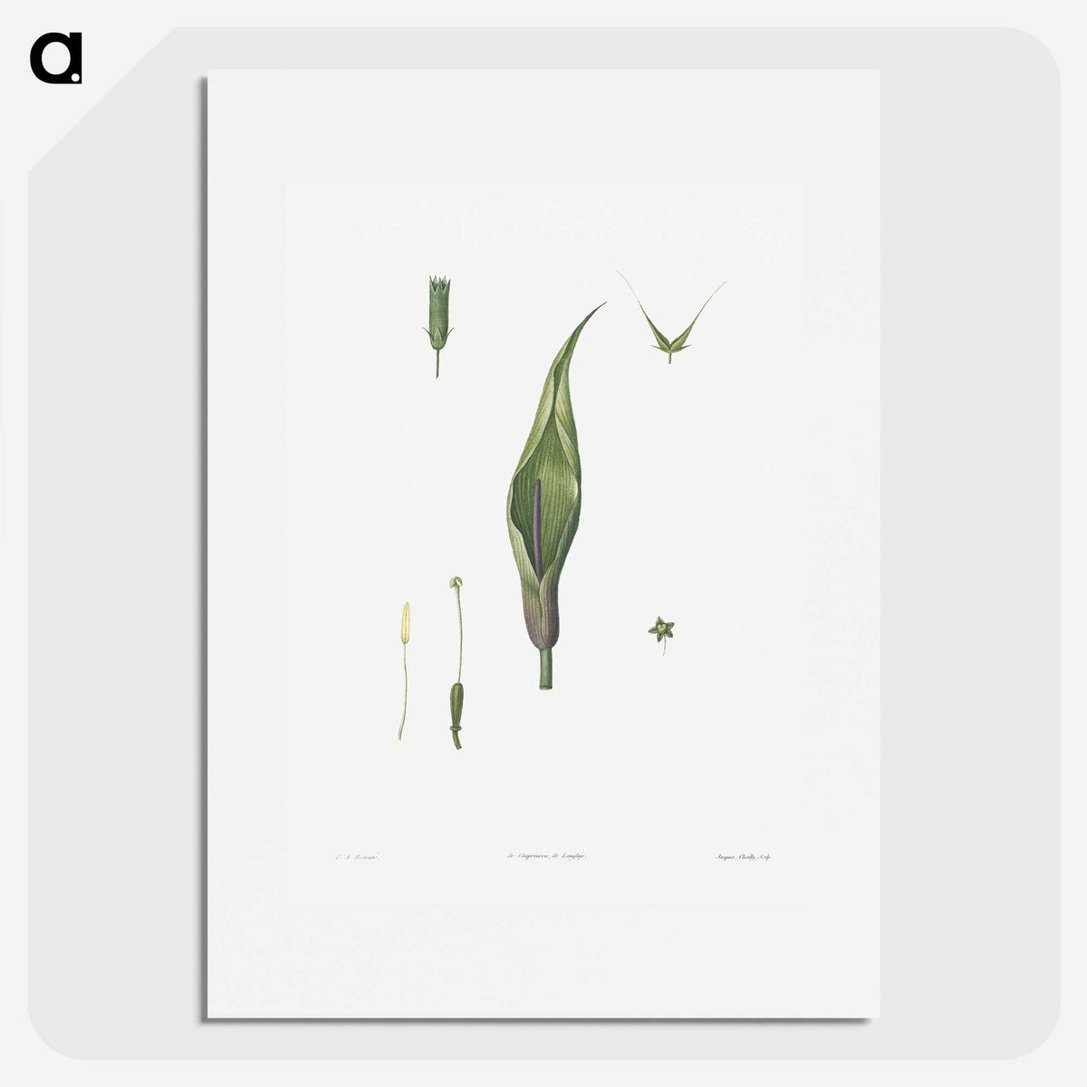 1-64_La-Botanique_picture