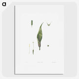 1-64_La-Botanique_picture