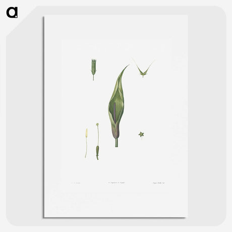 1-64_La-Botanique_picture