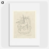 1-64_Leo-Gestel_picture