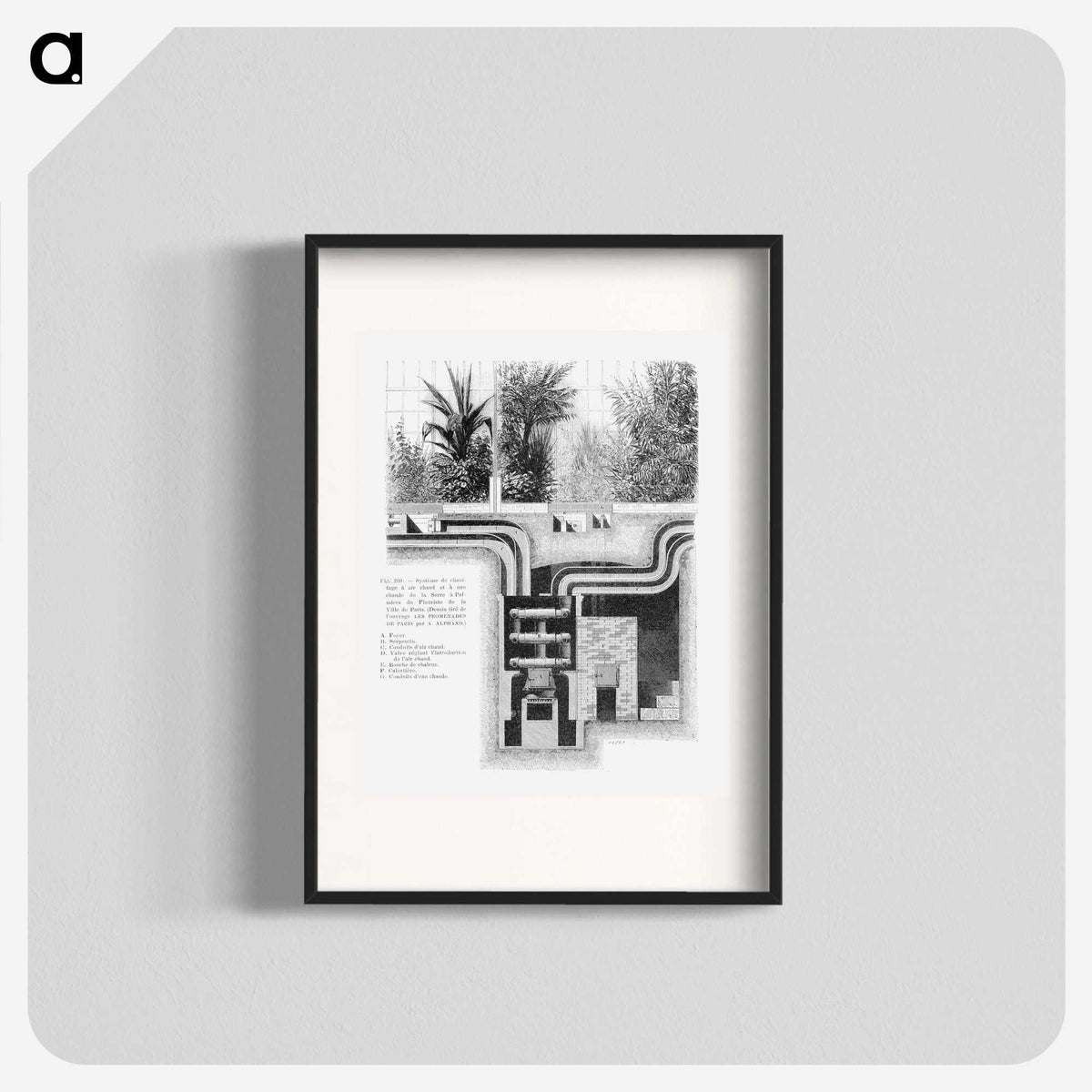 1-64_Les-Palmiers-Histoire-Iconographique_blk
