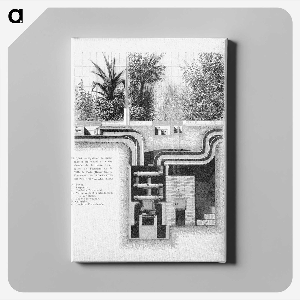 1-64_Les-Palmiers-Histoire-Iconographique_canvas