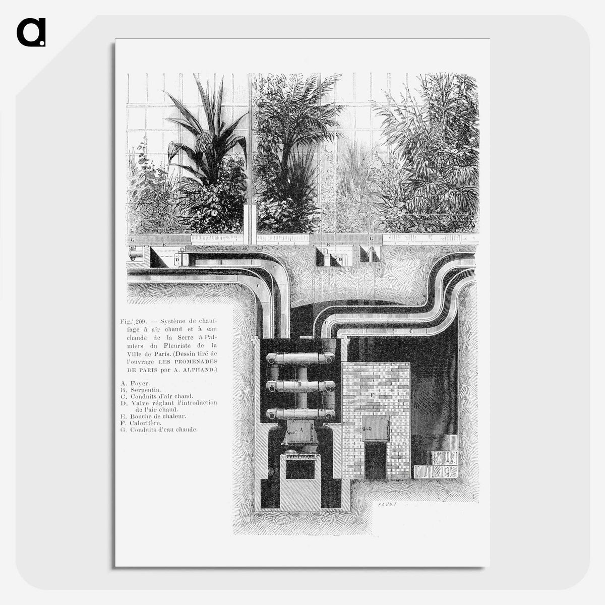 1-64_Les-Palmiers-Histoire-Iconographique_picture-crop