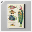 1-64_Louis-Renard_canvas