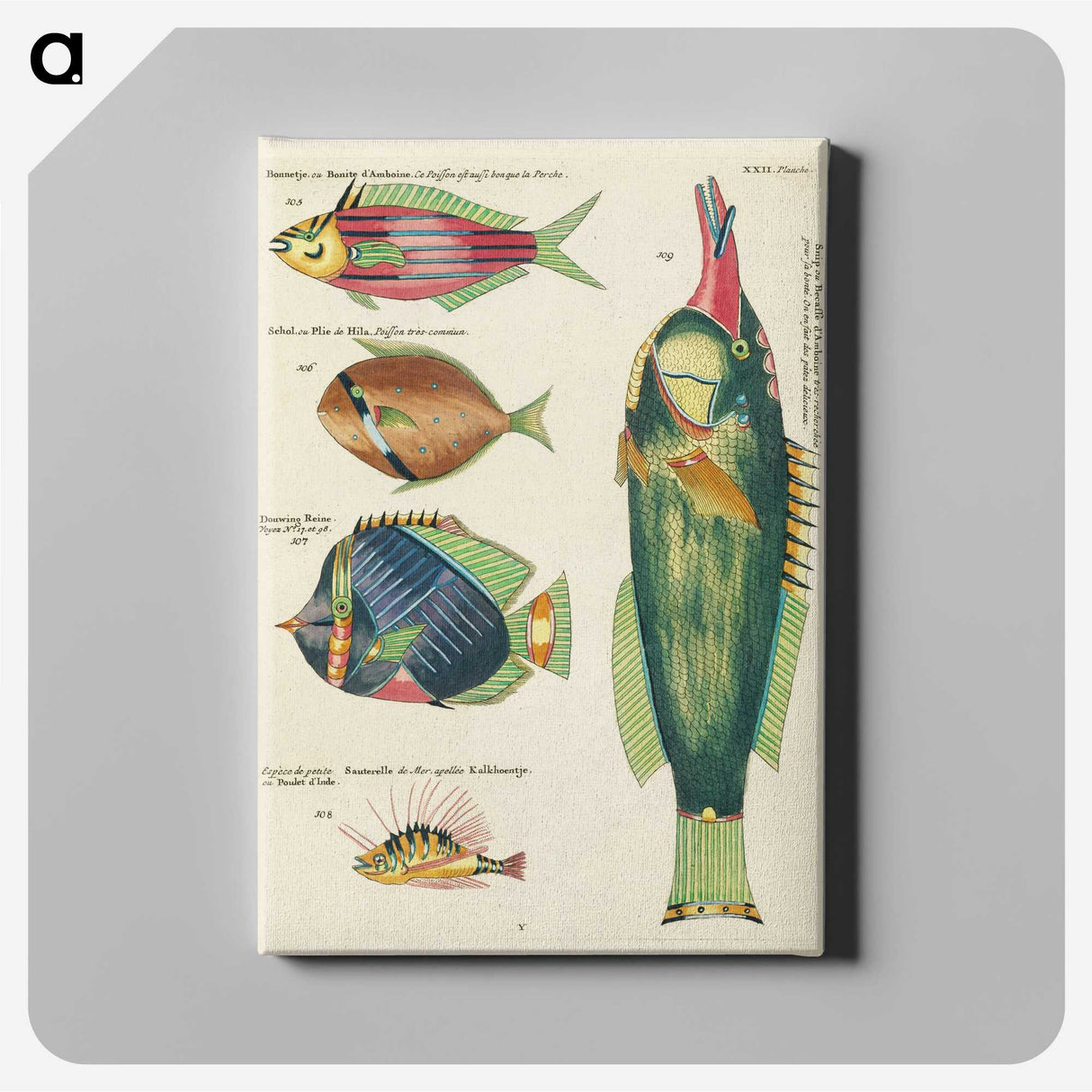 1-64_Louis-Renard_canvas