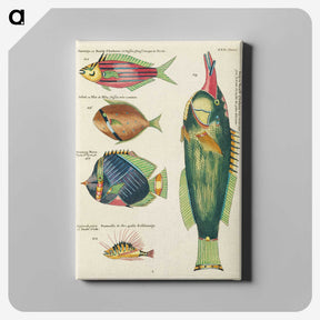 1-64_Louis-Renard_canvas