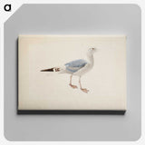 1-64_Magnus-von-Wright_canvas